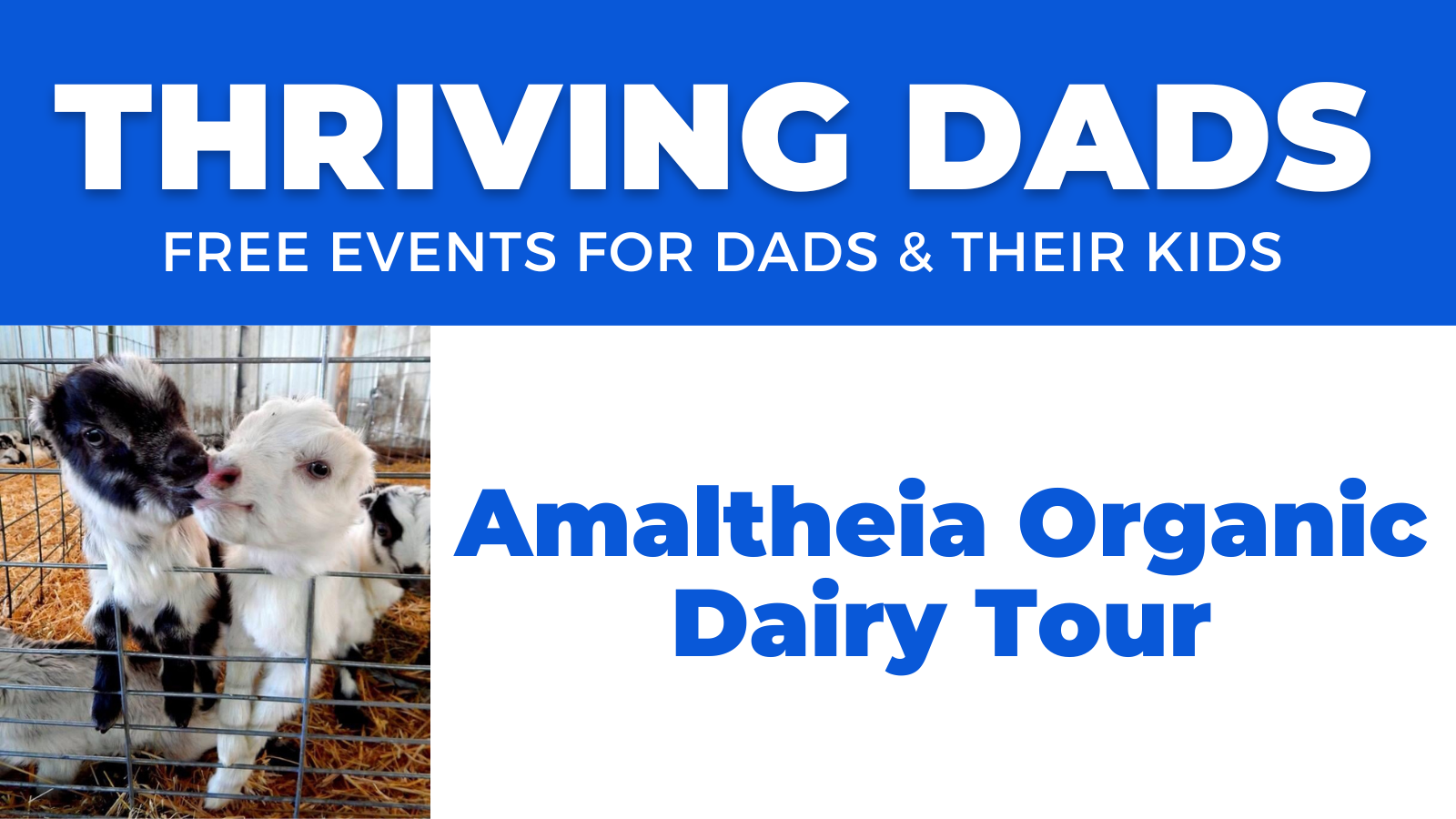 Sept. 2022 Thriving Dads at Amaltheia Organic Dairy